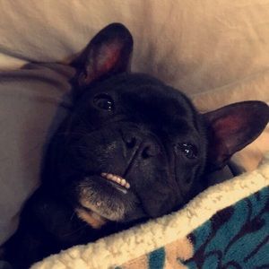 Meet your Posher, Sydney